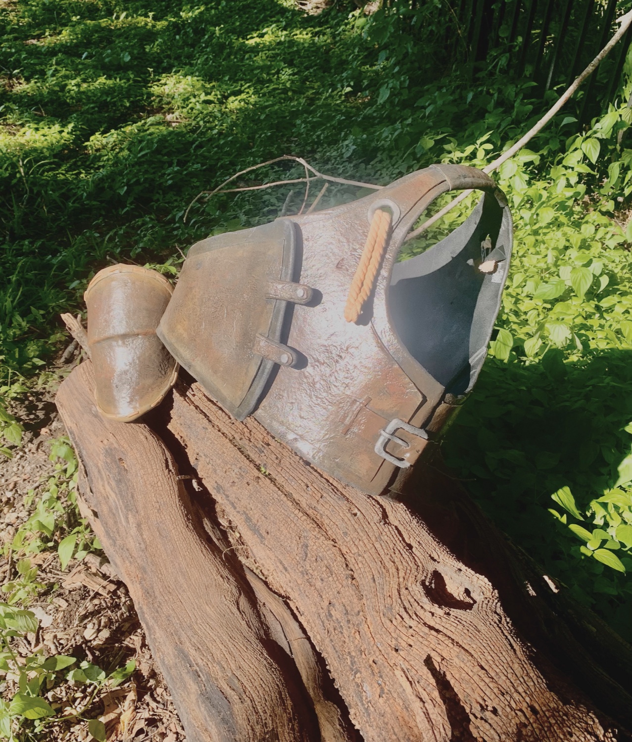 Sculpted armour piece resting on a log in the woods