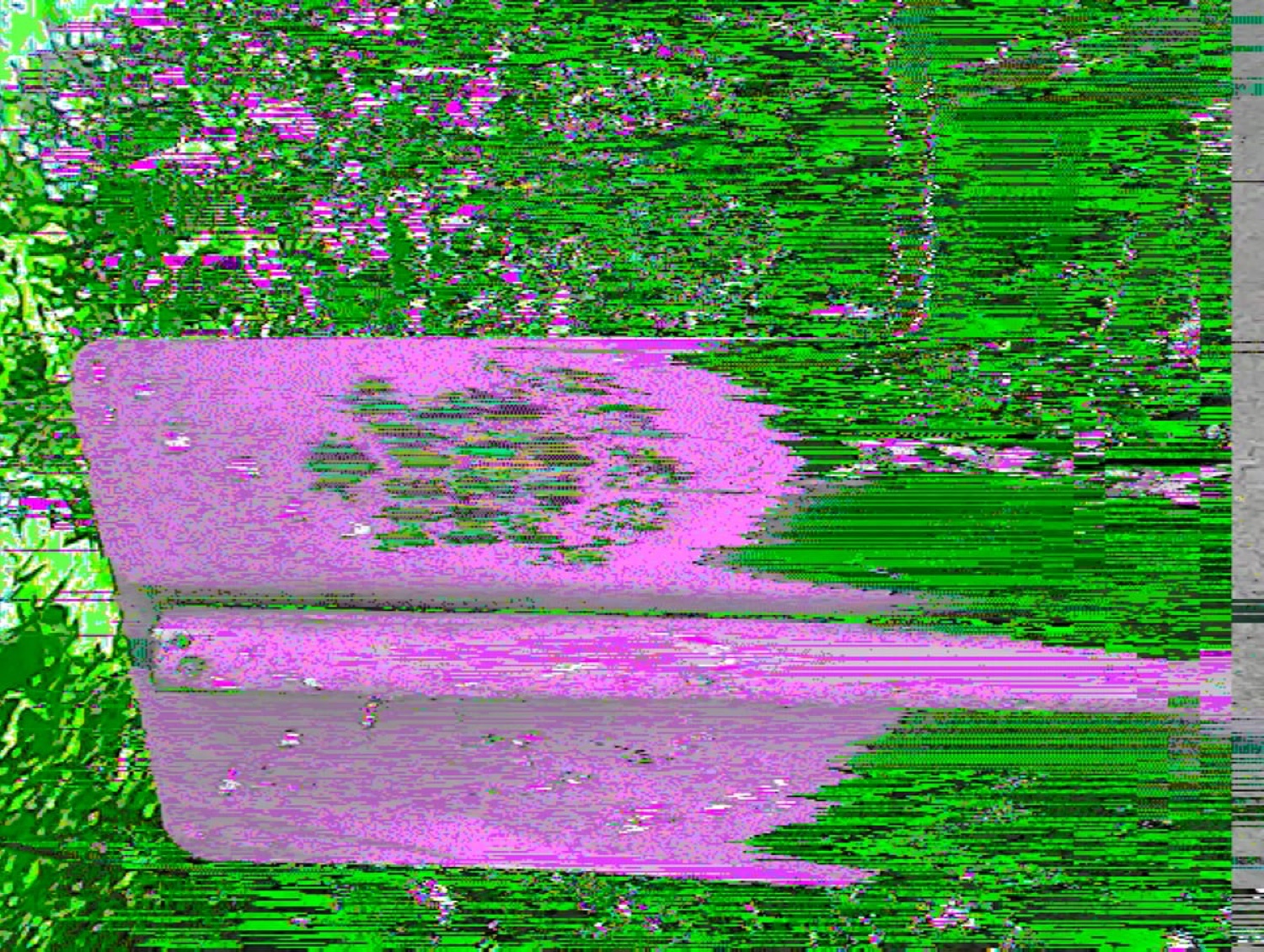 Green and magenta datamoshed abstract image